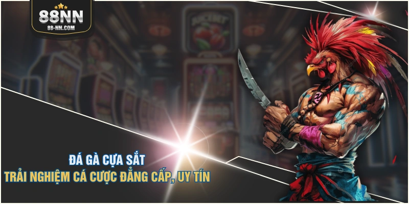 Đá gà cựa sắt